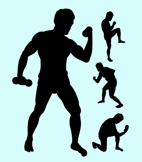 561x640 Weekend Fun For Families Experience The Arnold Our Family Finds