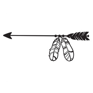 300x300 Arrow Feather