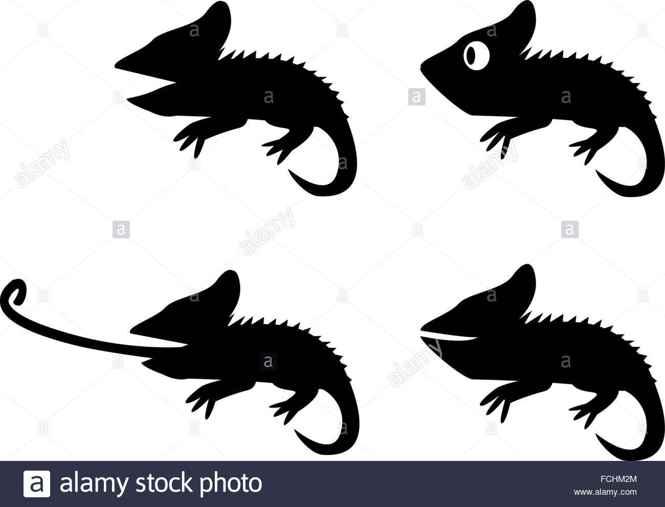 1300x990 Gecko Black And White Stock Photos Amp Images