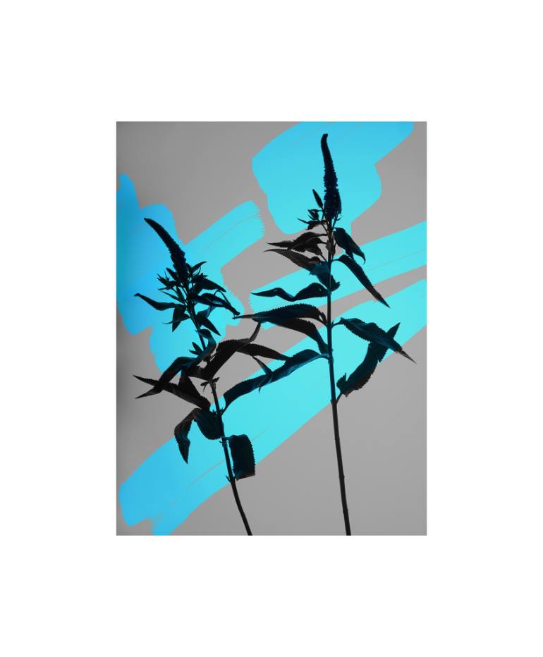 770x932 Saatchi Art Painted Silhouette