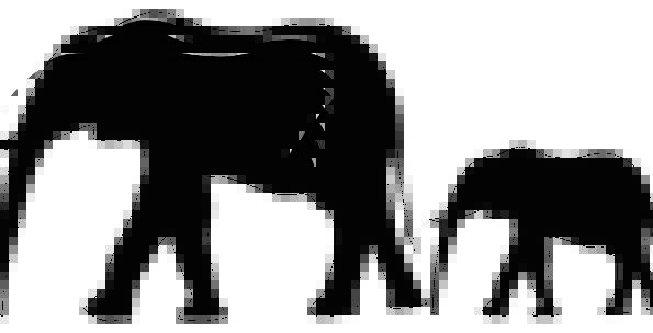 595x304 Elephant, Monster, Physical, Silhouette, Outline, Animal, Mother