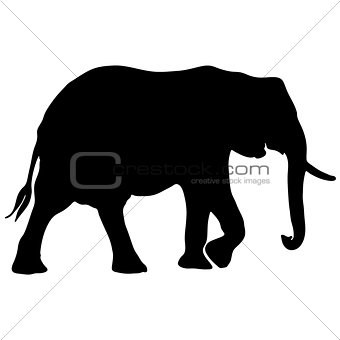 340x340 Image 7386779 Black And White Vector Elephant Silhouette