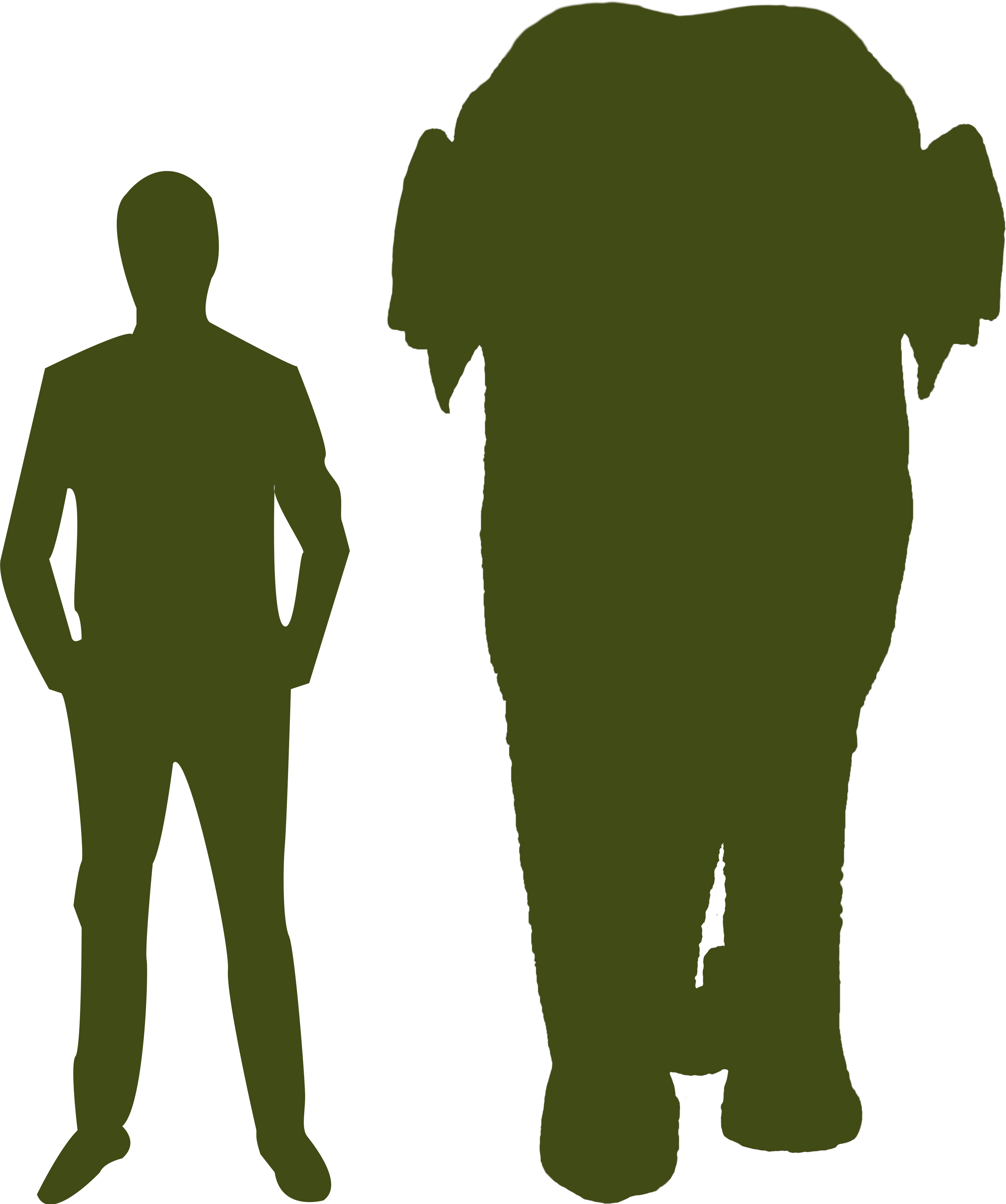 2679x3205 Asian Elephant