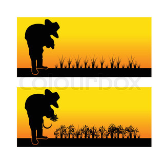 320x320 Silhouette Of An Asian Woman Planting Rice Seedlings And Harvest