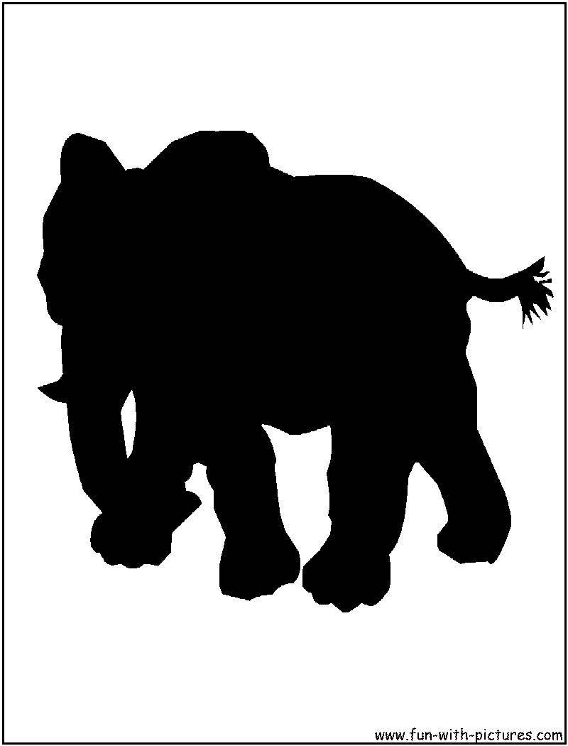 800x1050 Asian Elephant Silhouette