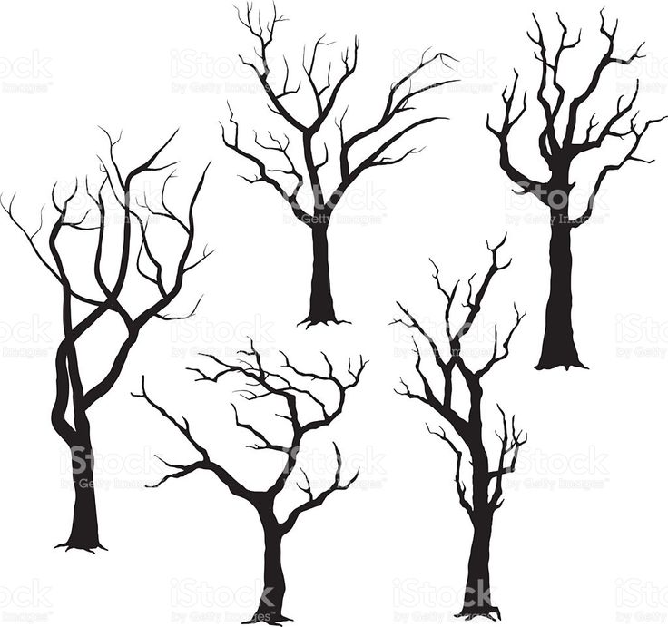 736x691 34 Best Z Tree Silhouettes Images On Silhouettes, Tree