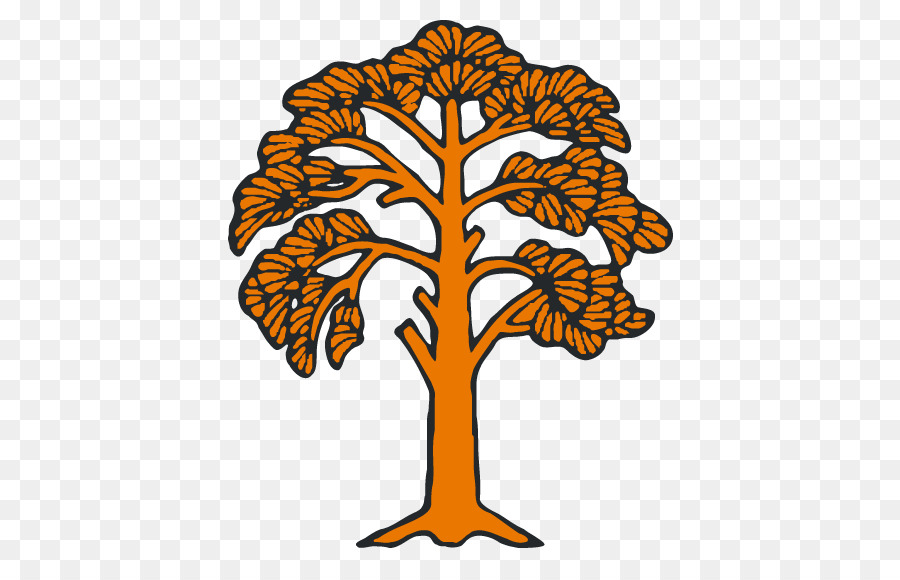 900x580 Tree Common Fig Silhouette Clip Art