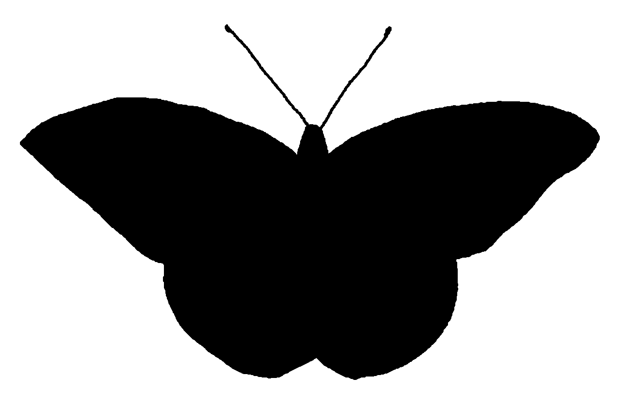 1289x813 Butterfly Silhouette Vector Free