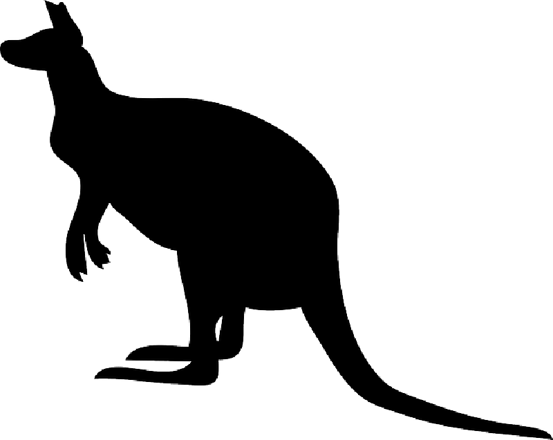 800x637 Black, Australia, Silhouette, Kangaroo, Pouch, Hop