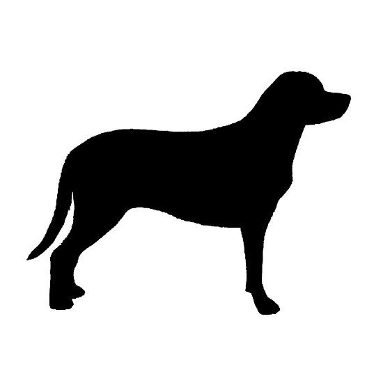550x550 Greater Swiss Mountain Dog Silhouette Dog Breeds