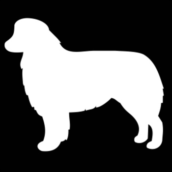 350x350 Buy One Of Our Australian Shepherd Silhouette Embroidery Gifts