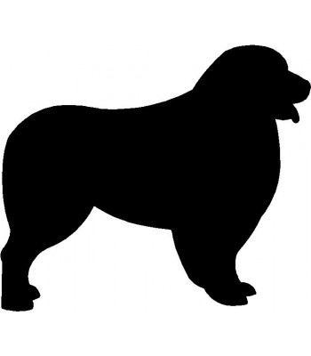 350x400 Dog Welcome Sign Breed Australian Shepherd