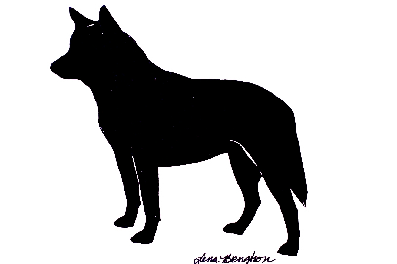 1311x874 Australian Cattle Dog Clipart