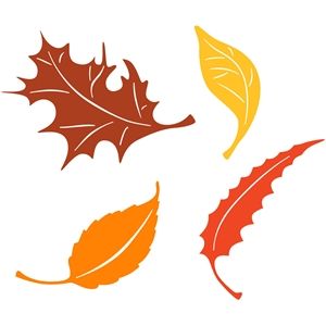 300x300 Silhouette Design Store