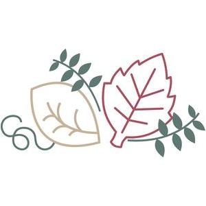 300x300 Silhouette Design Store