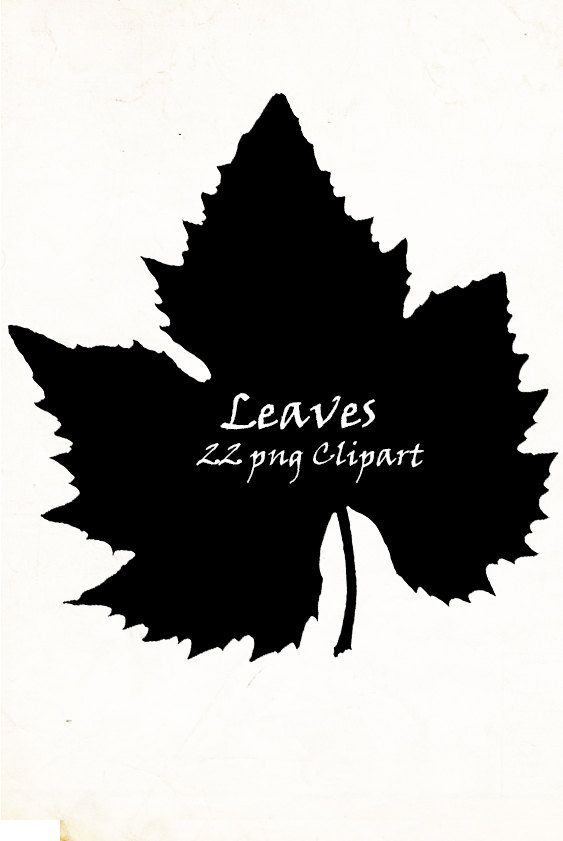 563x841 Autumn Leaves Silhouette Png 22 Png Clipart Instant