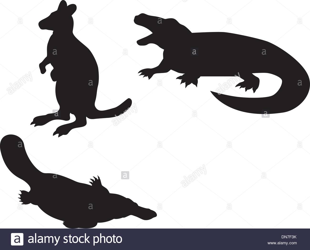 1300x1047 Illustration Komodo Dragon Stock Photos Amp Illustration