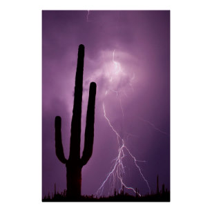 307x307 Cactus Silhouette Art Amp Framed Artwork Zazzle