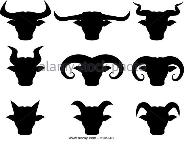 640x491 Buffalo And Bull Head Icons In Silhouette Style H2mj4c.jpg (640