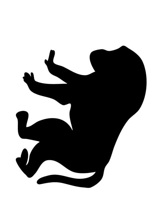 531x750 Coloring Page Baboon