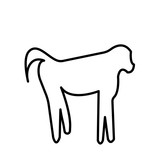 160x160 Baboon Silhouette On White Background Stock Image And Royalty