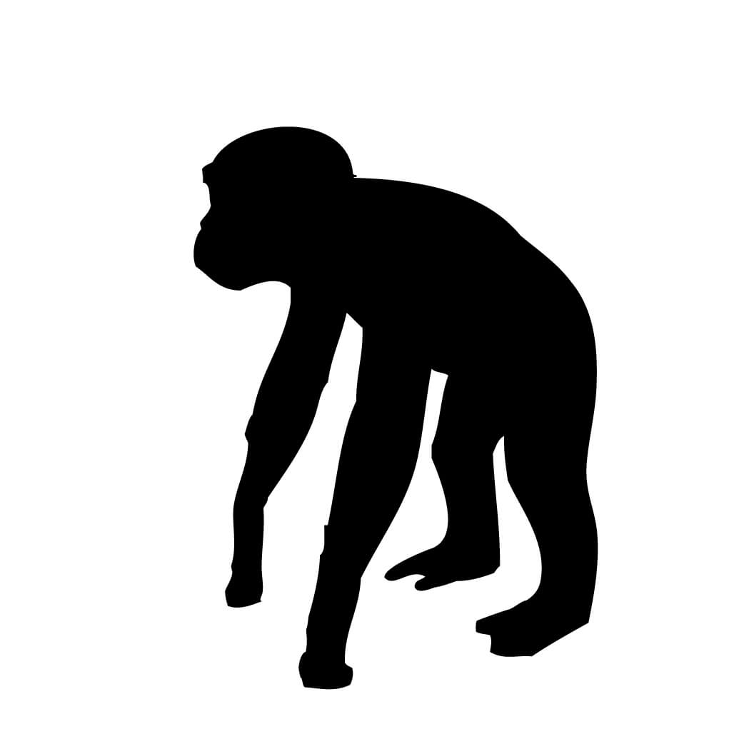 1042x1042 Monkey Silhouette