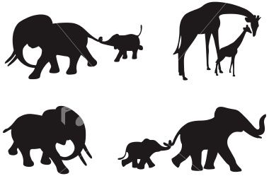 380x249 Four Different Silhouettes Of African Elephants And Giraffe