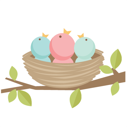 432x432 Baby Birds Svg Scrapbook Cut File Cute Clipart Files