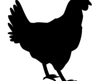 340x270 Chicken Clipart Stencil