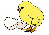 210x150 Clip Art Baby Chick Clip Art