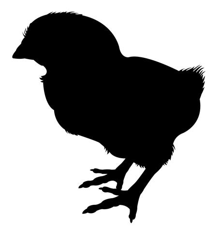 453x480 Baby Chick Silhouette Decal Sticker