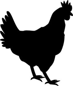 236x280 Chicken Silhouette Clipart Free Stock Photo