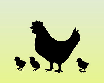 340x270 Chicken Wall Decals Etsy