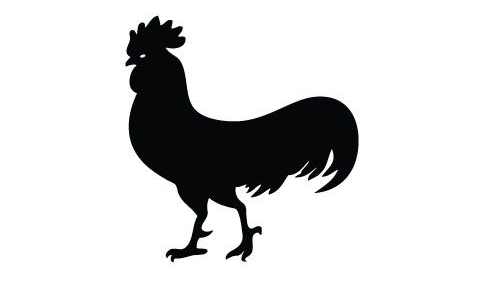 Baby Chicken Silhouette at GetDrawings | Free download