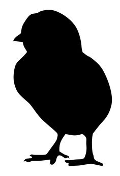 236x345 Silhouette Poule