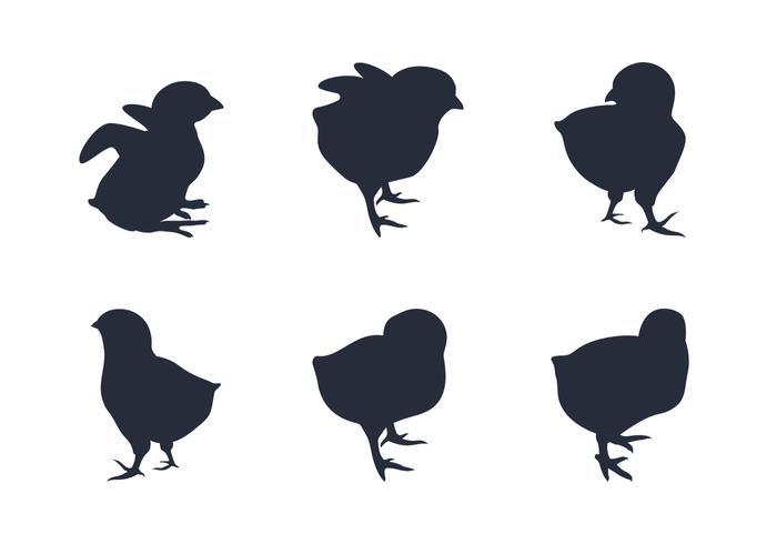 700x490 Baby Chick Free Vector Art