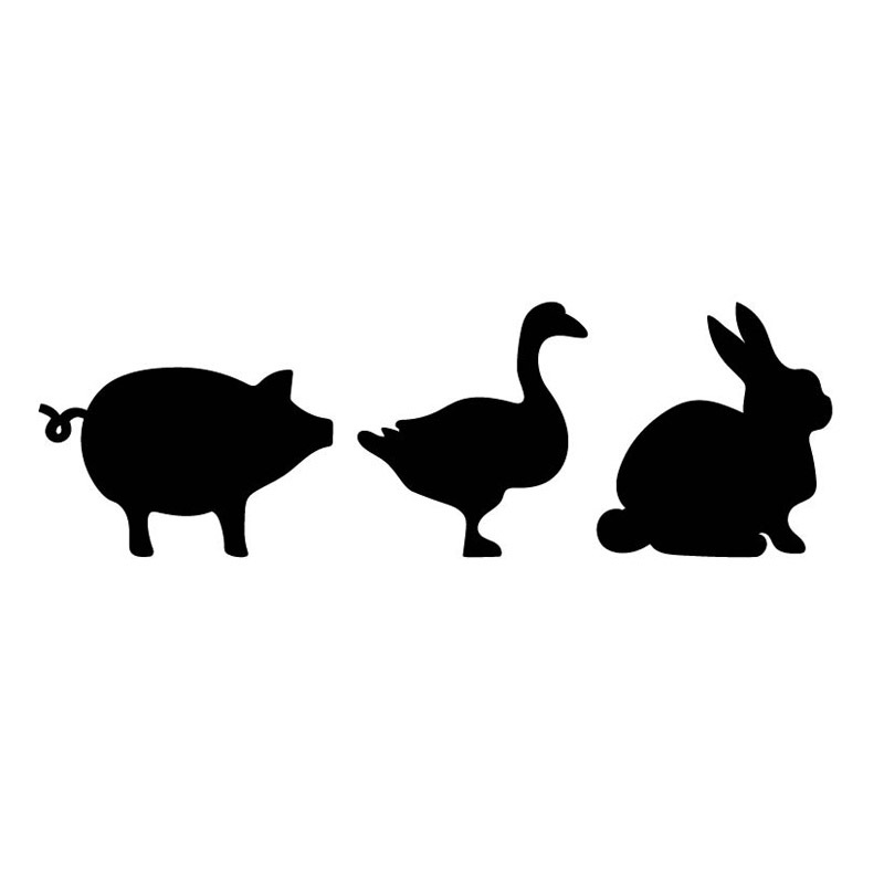 800x800 Free Free Baby Animals Svg Cut File