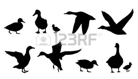 450x257 Baby Goose Duck Silhouettes On The White Background Tattoo