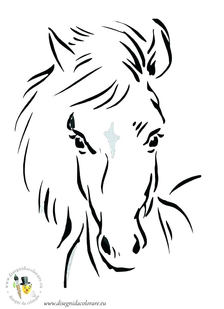 736x1012 Horse Head Coloring Page Head Coloring Page Camel And Baby 1