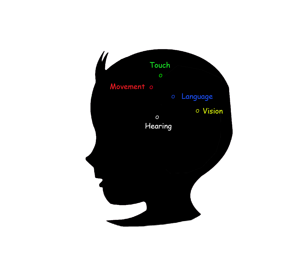 1224x1080 Baby Brain Development Stage 2 6 Months