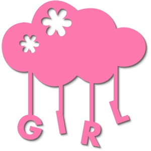 300x300 Silhouette Design Store