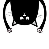 160x160 Black Funny Cat Head Silhouette Hanging Upside Down. Two Eyes