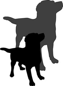216x296 Shadow Clipart