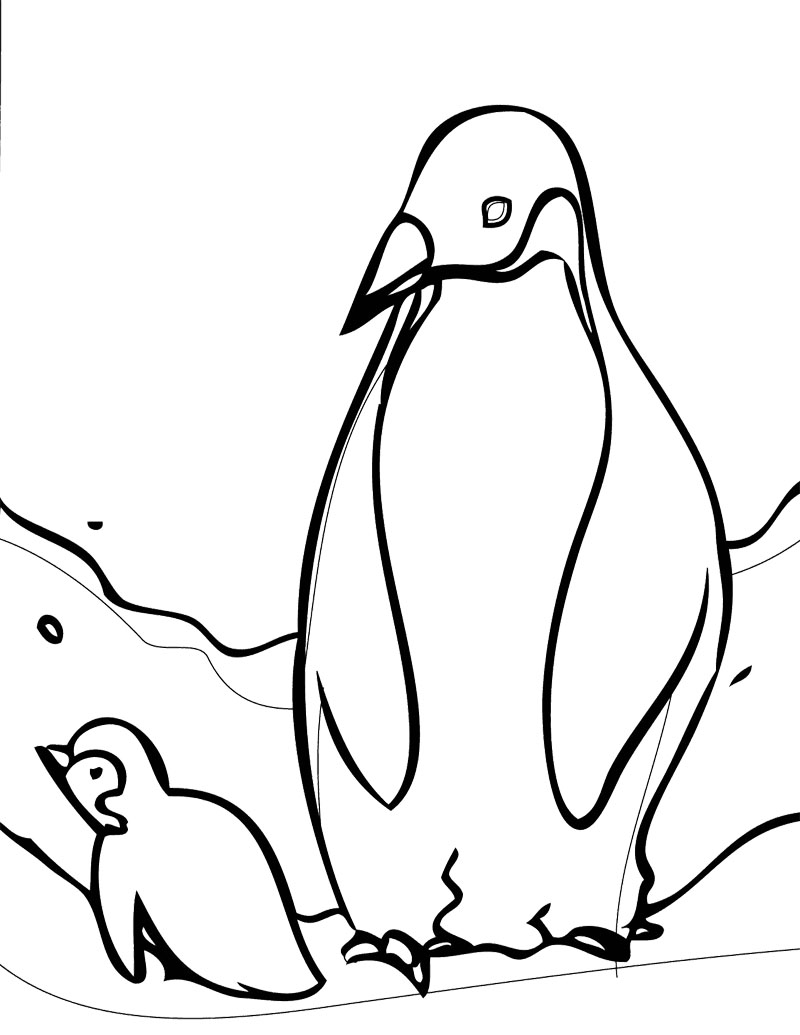 800x1035 Coloring Pictures Of Penguins 5563 Adorable Penguin To Color