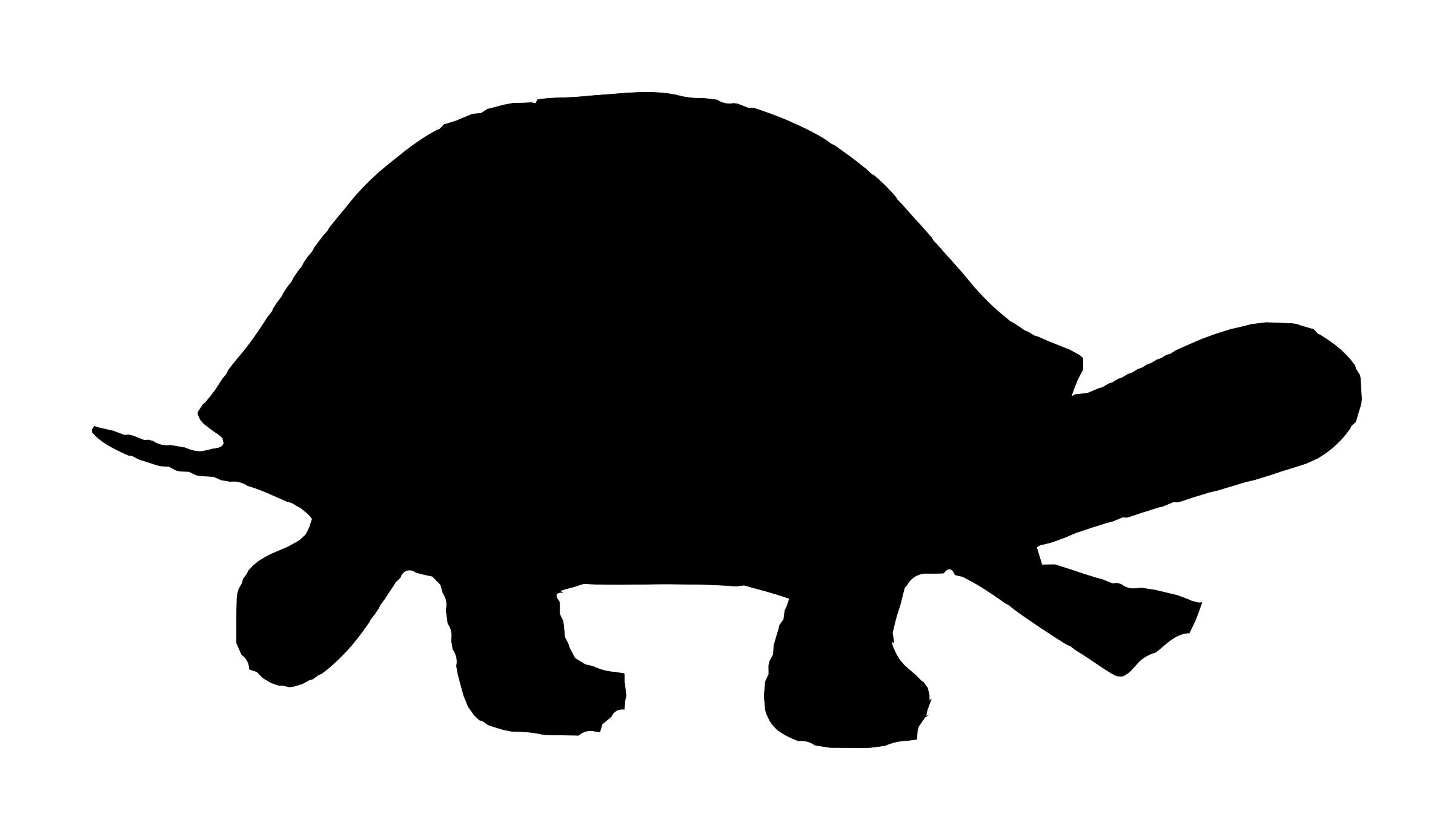 Baby Sea Turtle Silhouette at GetDrawings | Free download