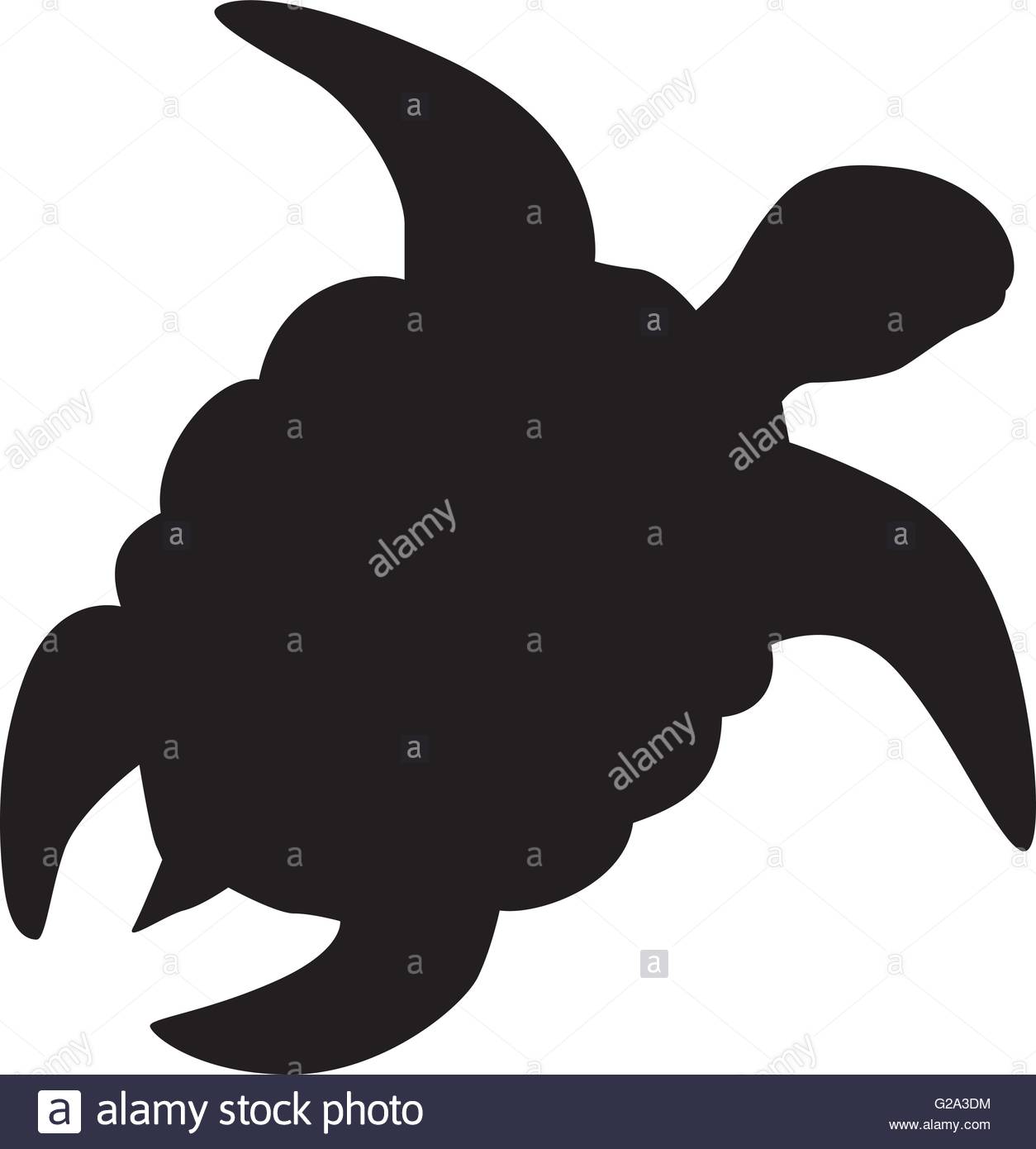 1254x1390 Green Sea Turtle Cut Out Stock Images Amp Pictures