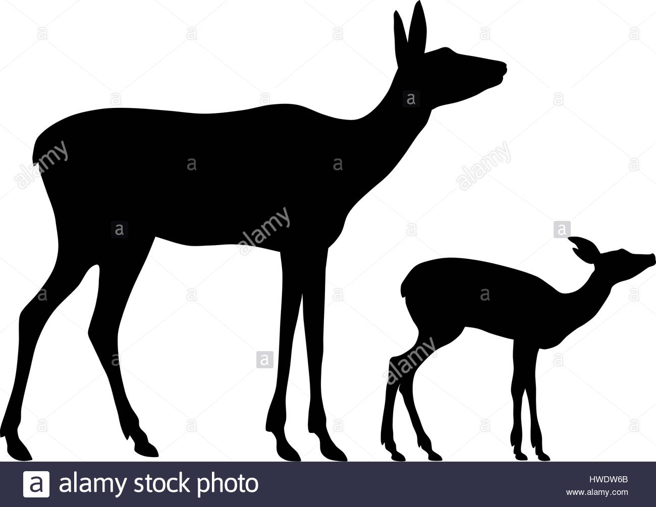 1300x1005 Vector Illustration Of Doe And Her Baby Silhouettes Stock Vector