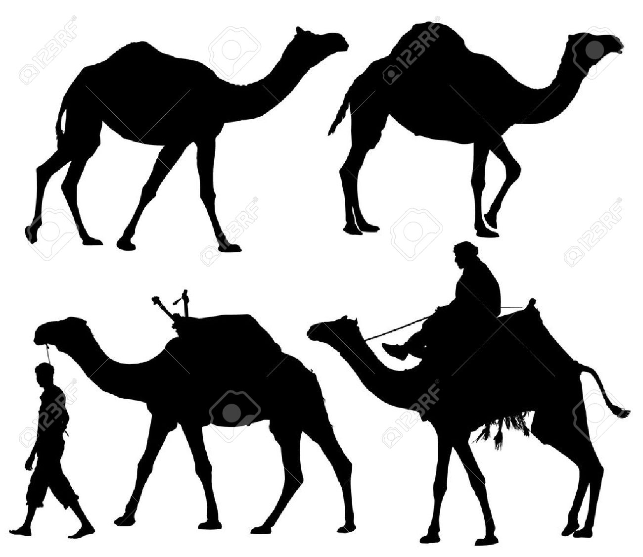 1300x1126 Camel Silhouette On White Background Royalty Free Cliparts