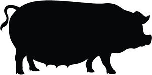300x149 Pigacon Silhouette Car Vinyl Sticker