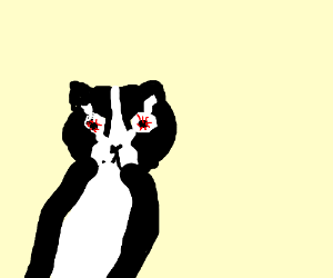 300x250 Hairy Badger